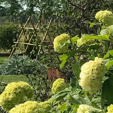 1694 - 4 Etoiles - Proche Futuroscope * Scorbé-Clairvaux