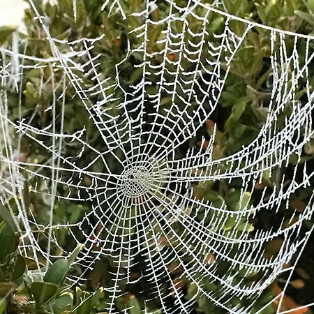 1694 - 4 Etoiles - Proche Futuroscope *