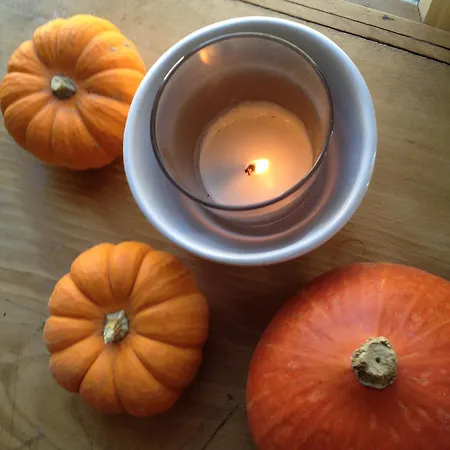 1694 - 4 Etoiles - Proche Futuroscope * Scorbé-Clairvaux