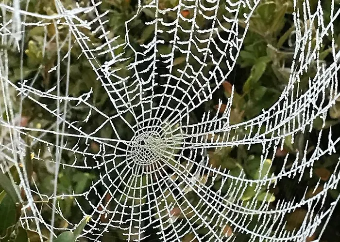 1694 - 4 étoiles - Proche Futuroscope *